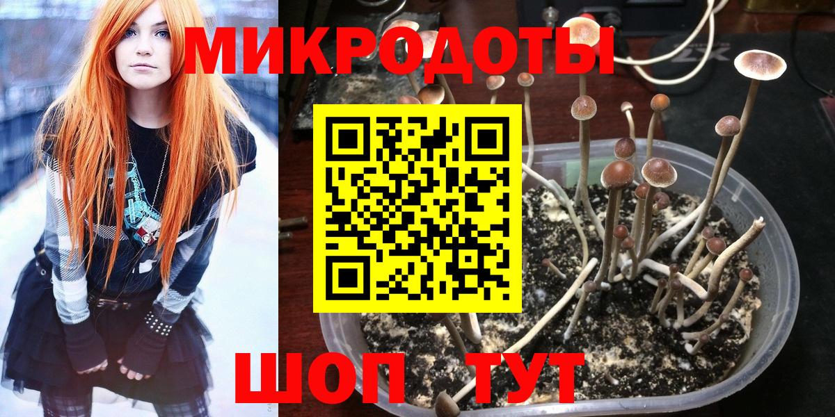 Екатеринбург  Псилоцибиновые грибы ЛСД  Вход с VPN 