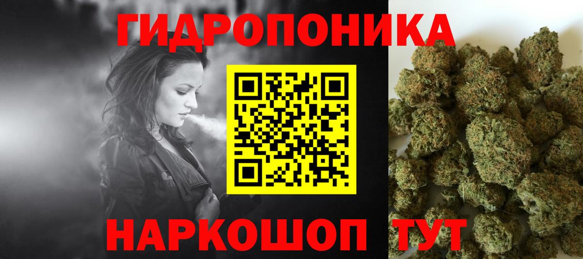 Марихуана конопля  Бошки марихуана индика  Екатеринбург  Канабис план  Вход с VPN  Марихуана LSD WEED 
